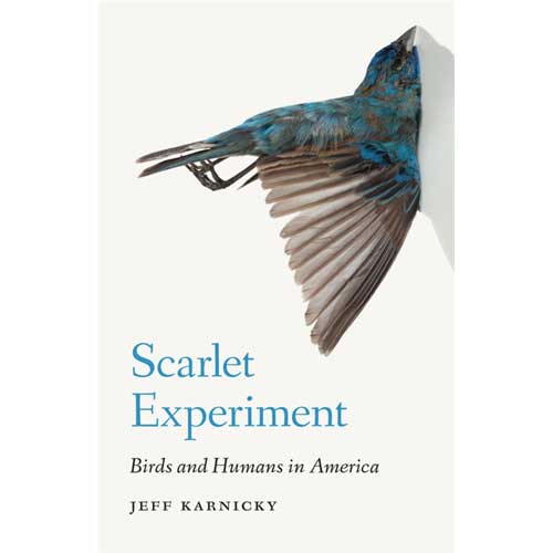Scarlet Experiment: Birds and Humans in America cover