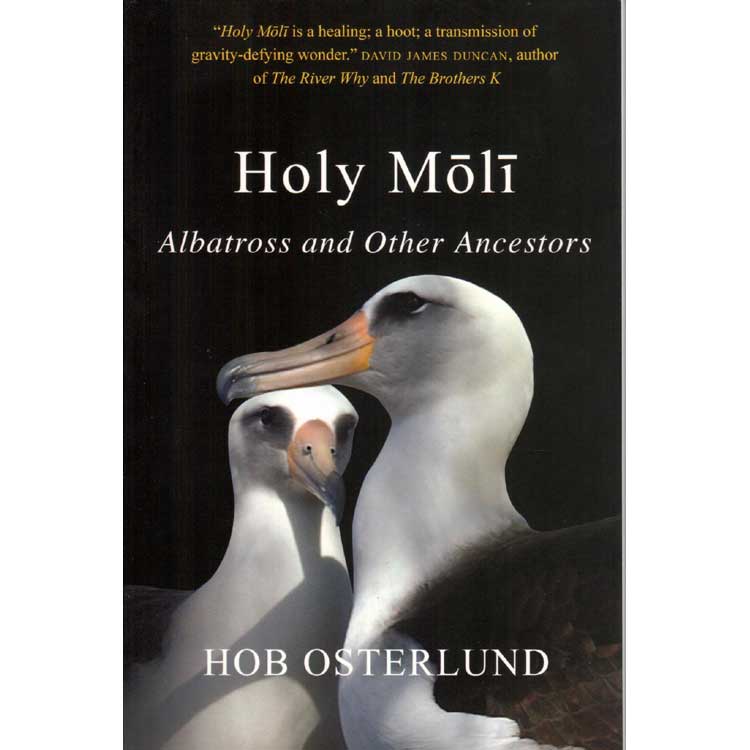 Book cover and/or sample page of Holy Moli: Albatross and Other Ancestors