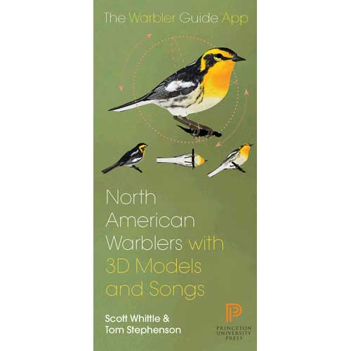 Book cover and/or sample page of North American Warbler Fold-out Guide