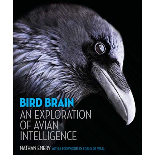 Book cover and/or sample page of Bird Brain: An Exploration of Avian Intelligence