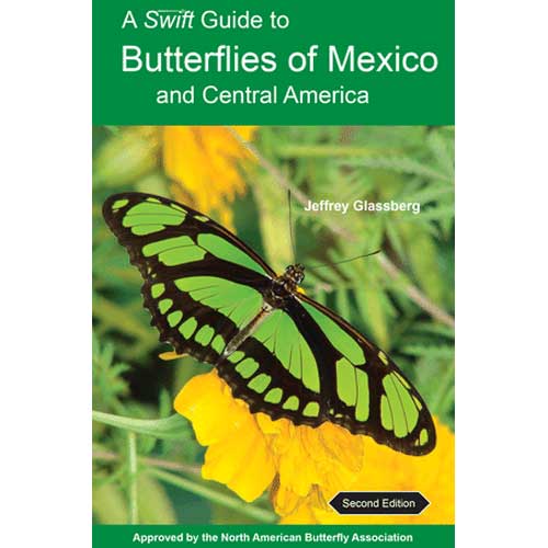 Book cover and/or sample page of A Swift Guide to Butterflies of Mexico and Central America, Second Edition