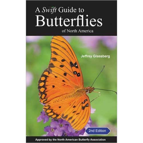 A Swift Guide to Butterflies of North America Second Edition cover