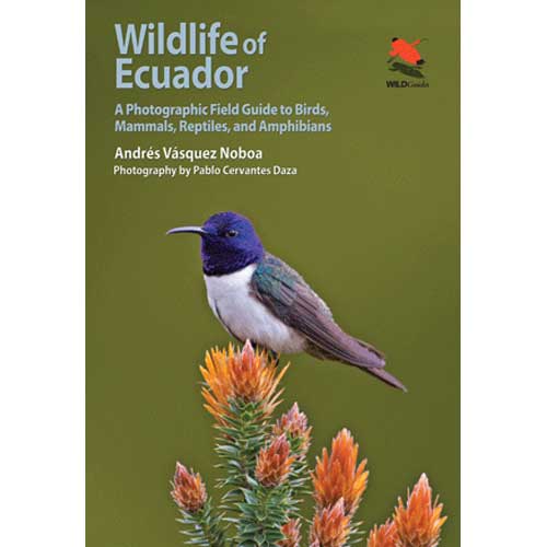 Wildlife of Ecuador: A Photographic Field Guide to Birds, Mammals, Reptiles, and Amphibians cover