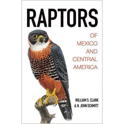 Raptors of Mexico and Central America cover