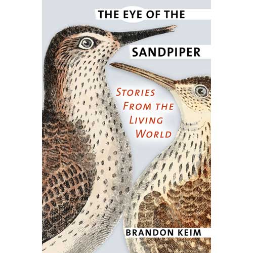 Book cover and/or sample page of The Eye of the Sandpiper: Stories from the Living World