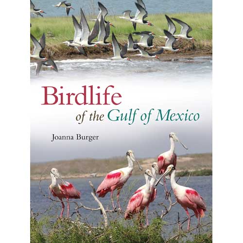 Birdlife of the Gulf of Mexico cover