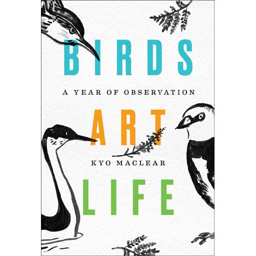 Book cover and/or sample page of Birds Art Life: A Year of Observation [HC]