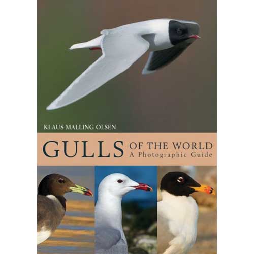 Gulls of the World: A Photographic Guide cover