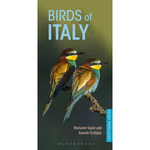 Book cover and/or sample page of Birds of Italy. Pocket Photo Guide