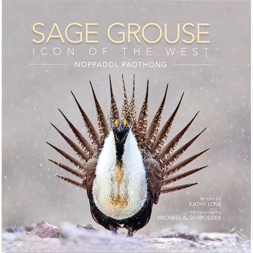 Book cover and/or sample page of Sage Grouse: Icon of the West