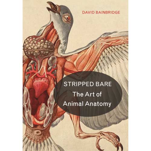 Book cover and/or sample page of Stripped Bare: The Art of Animal Anatomy