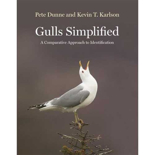 Gulls Simplified: A Comparative Approach to Identification cover