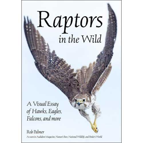 Book cover and/or sample page of Raptors in the Wild: A Visual Essay of Hawks, Eagles, Falcons and More