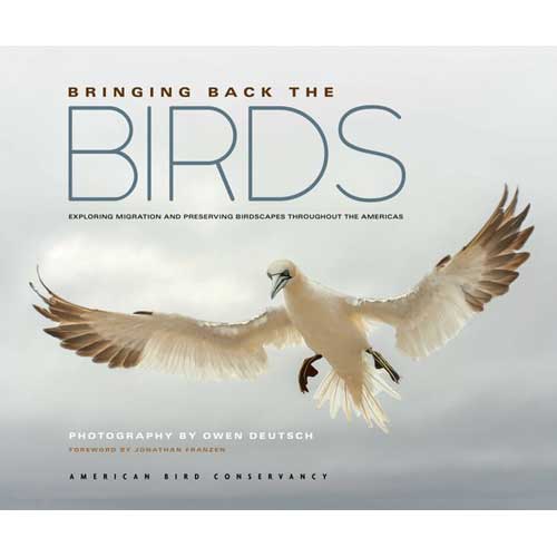 Bringing Back the Birds: Exploring Migration and Preserving Birdscapes throughout the Americas cover