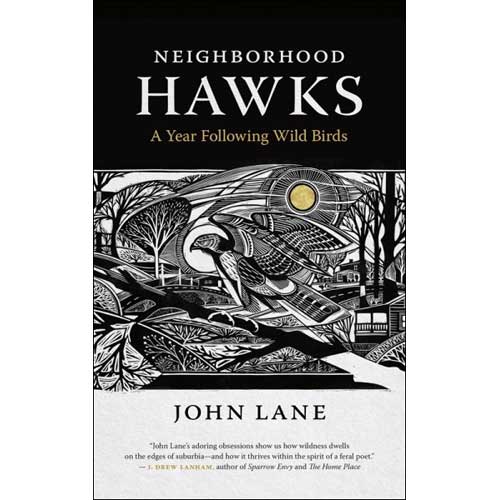 Book cover and/or sample page of Neighborhood Hawks: A Year Following Wild Birds