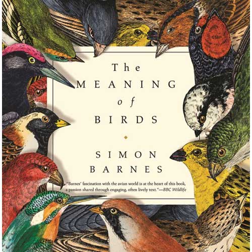 Book cover and/or sample page of The Meaning of Birds