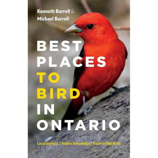 Best Places to Bird in Ontario cover