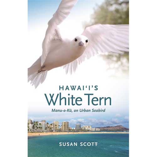 Hawai'i's White Tern: Manu-o-Ku, an Urban Seabird cover