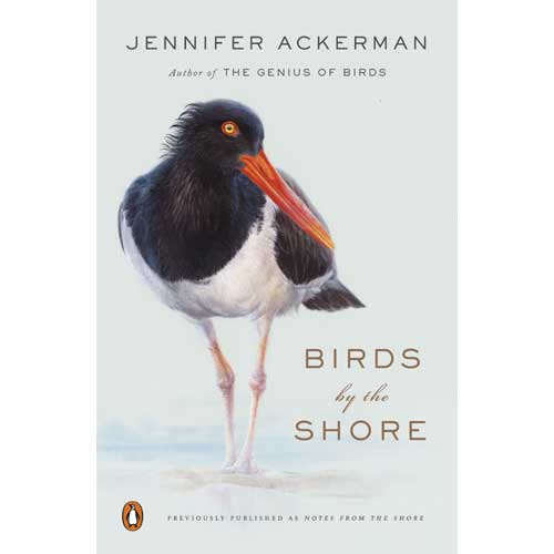 Book cover and/or sample page of Birds by the Shore: Observing the Natural Life of the Atlantic Coast
