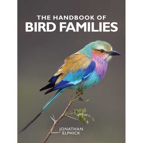 Book cover and/or sample page of The Handbook of Bird Families