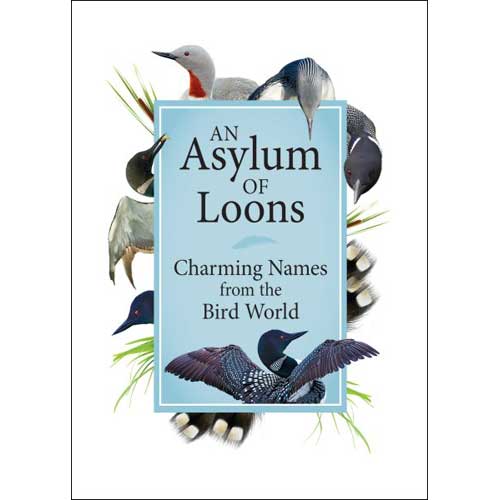 Book cover and/or sample page of An Asylum of Loons: Charming Names from the Bird World