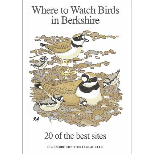 Where to Watch Birds in Berkshire: 20 of the Best Sites cover