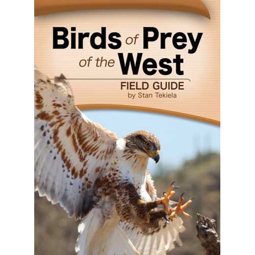 Book cover and/or sample page of Birds of Prey of the West: Field Guide