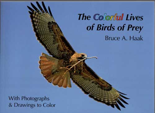 The Colorful Lives of Birds of Prey cover