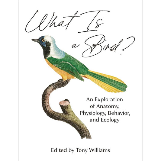 Book cover and/or sample page of What Is a Bird? An Exploration of Anatomy, Physiology, Behavior, and Ecology