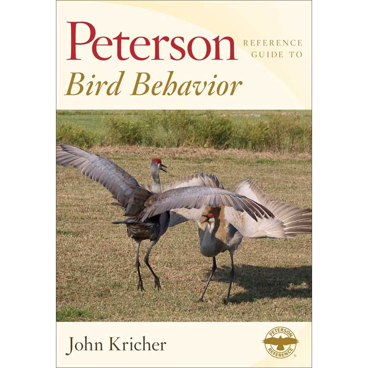 Book cover and/or sample page of Peterson Reference Guide to Bird Behavior