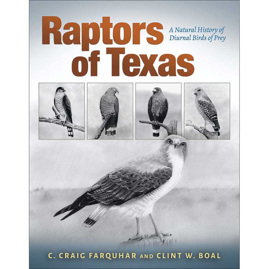 Book cover and/or sample page of Raptors of Texas: A Natural History of Diurnal Birds of Prey