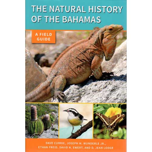 Book cover and/or sample page of The Natural History of the Bahamas: Field Guide