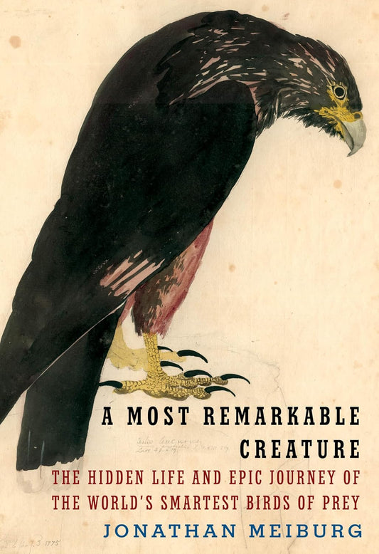 a most remarkable creature book cover