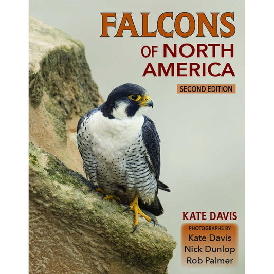 Book cover and/or sample page of Falcons of North America, Second Edition