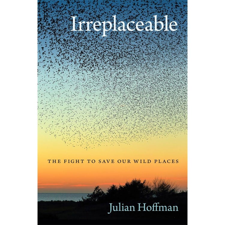Irreplaceable: The Fight to Save Our Wild Places cover