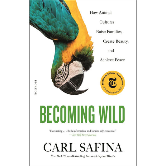 Book cover and/or sample page of Becoming Wild: How Animal Cultures Raise Families, Create Beauty, and Achieve Peace
