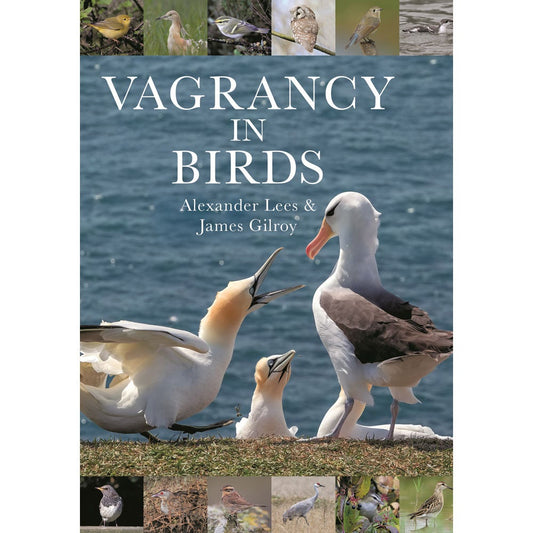 Book cover and/or sample page of Vagrancy in Birds