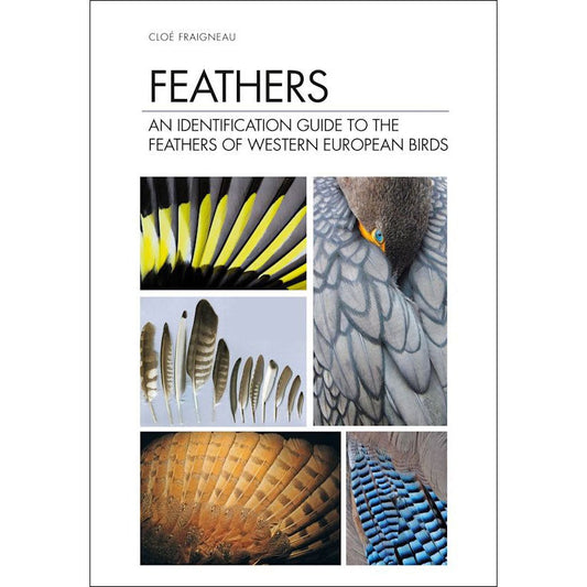 Book cover and/or sample page of Feathers: An Identification Guide to the Feathers of Western European Birds