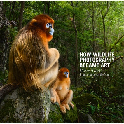 Book cover and/or sample page of How Wildlife Photography Became Art: 55 Years of Wildlife Photographer of the Year