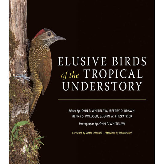 Book cover and/or sample page of Elusive Birds of the Tropical Understory