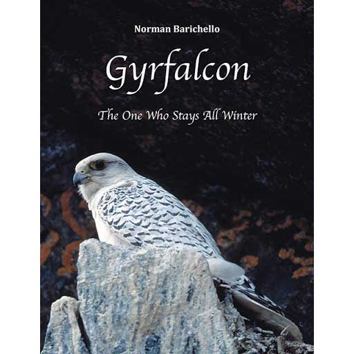 Book cover and/or sample page of Gyrfalcon: The One Who Stays All Winter
