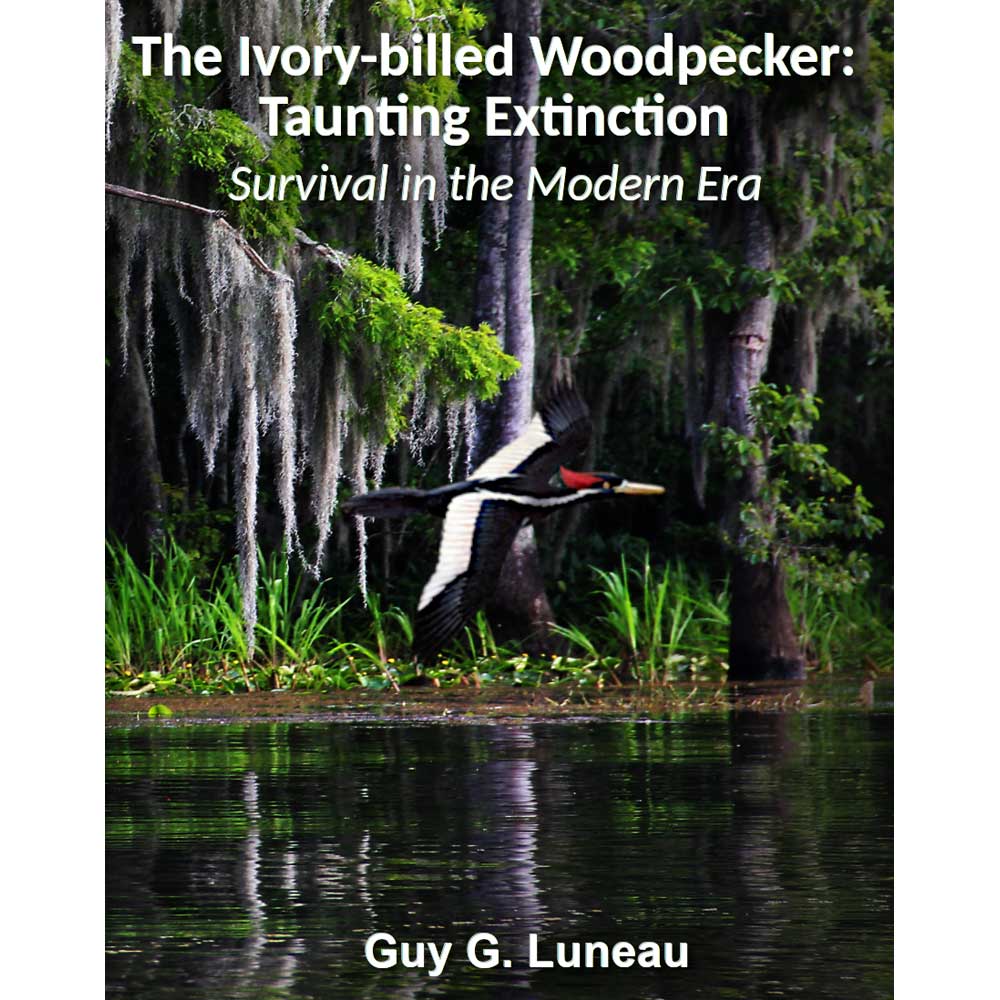 Book cover and/or sample page of The Ivory-billed Woodpecker: Taunting Extinction: Survival in the Modern Era