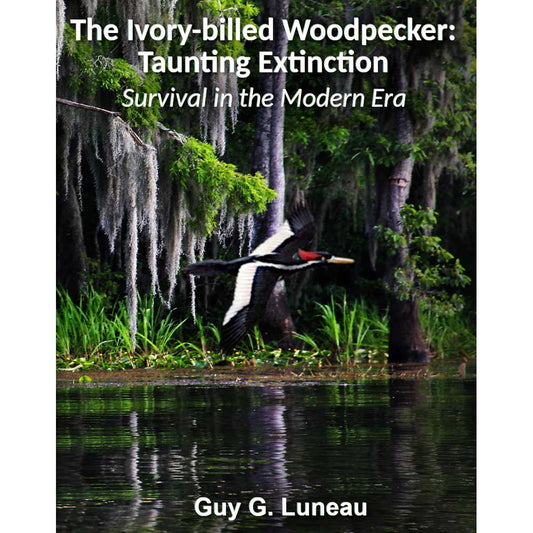 Book cover and/or sample page of The Ivory-billed Woodpecker: Taunting Extinction: Survival in the Modern Era