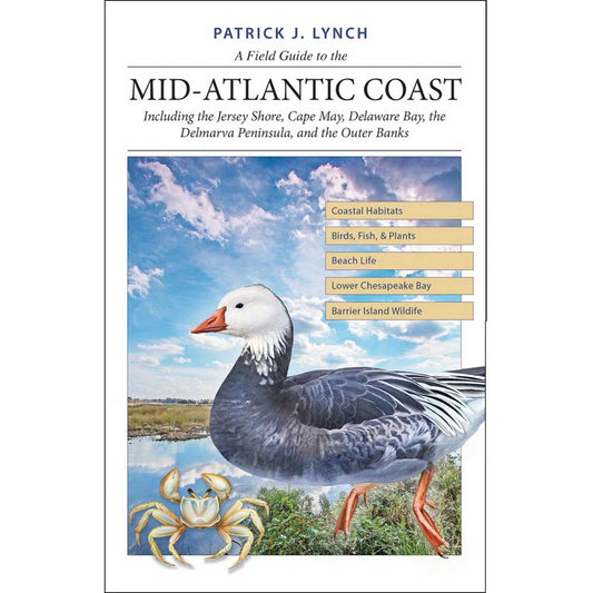 A Field Guide to the Mid-Atlantic Coast: Jersey Shore, Cape May, Delaware Bay, Delmarva, Outer Banks cover