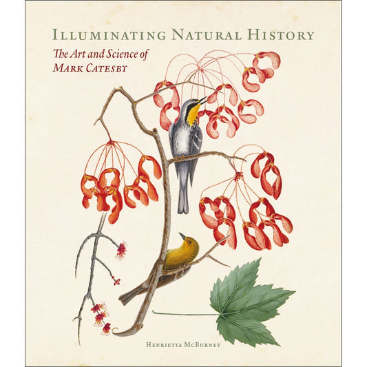 Book cover and/or sample page of Illuminating Natural History: The Art and Science of Mark Catesby