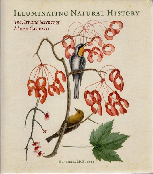 Book cover and/or sample page of Illuminating Natural History: The Art and Science of Mark Catesby [damaged]