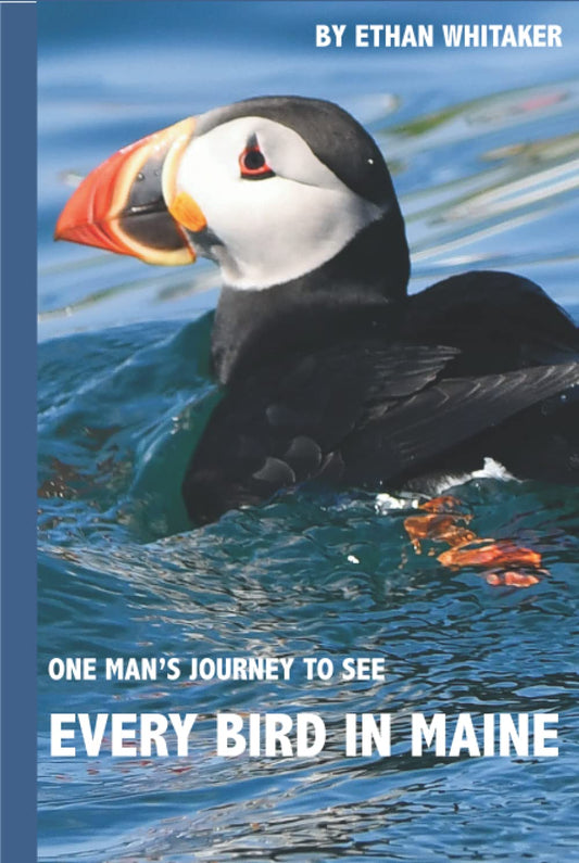 Book cover and/or sample page of Every Bird in Maine: One Man's Journey to See Every Bird in Maine