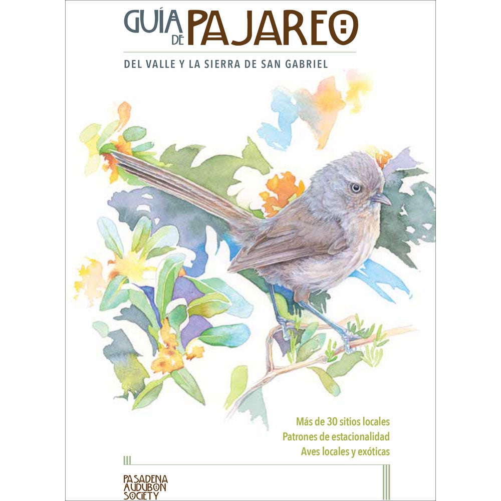 GuÃƒÂ­a de pajareo del Valle y Sierra de San Gabriel  (Birding Guide to the Greater Pasadena Area) cover