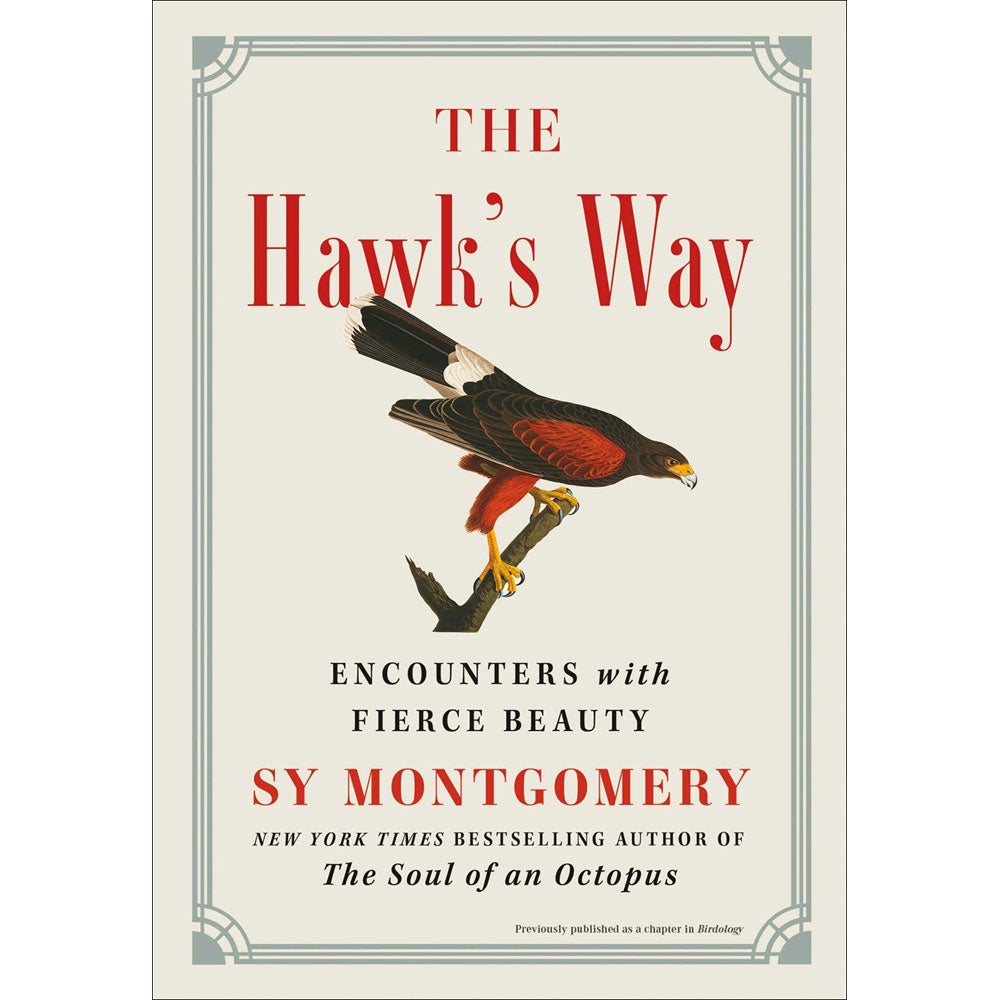 Book cover and/or sample page of The Hawk's Way: Encounters with Fierce Beauty