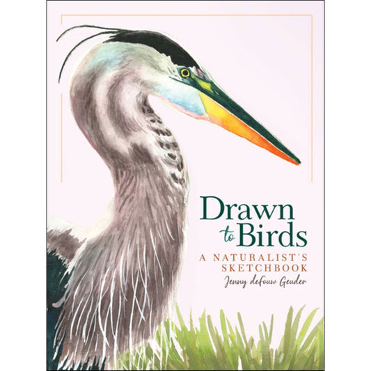 Book cover and/or sample page of Drawn to Birds: A Naturalist's Sketchbook